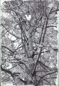 Quirk0019thricemodified72px