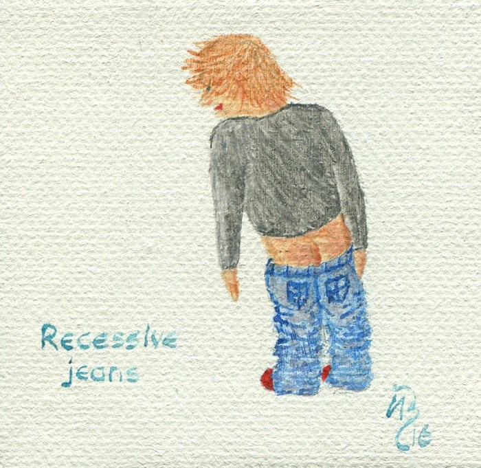 recessive-jeans-crop